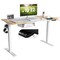 55 Inch x 28 Inch Electric Standing Desk with USB Port
